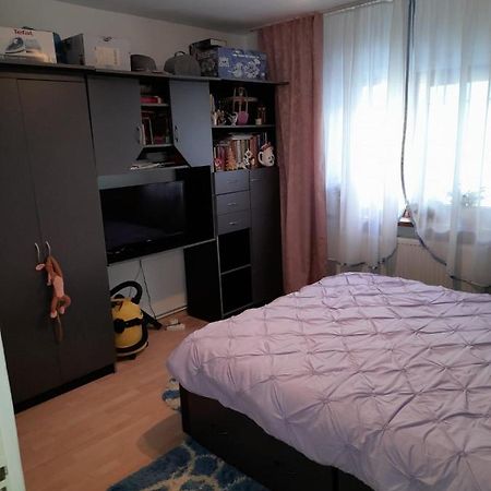Apartament Straja - Lupeni  外观 照片