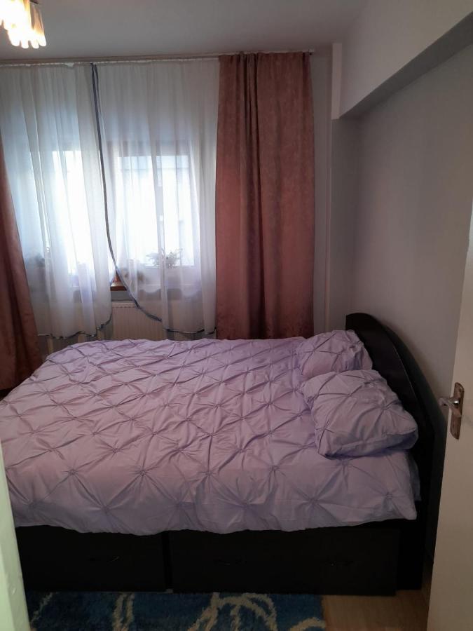 Apartament Straja - Lupeni  外观 照片