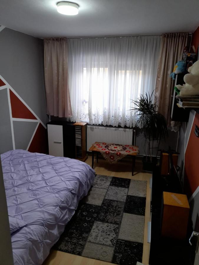 Apartament Straja - Lupeni  外观 照片